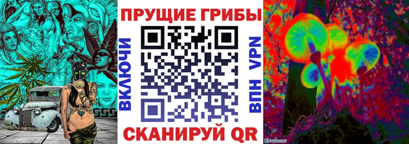 Галлюциногенные грибы MAGIC MUSHROOMS  Урус-Мартан 