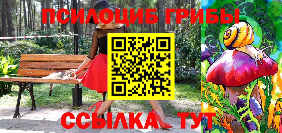 Псилоцибиновые грибы мицелий  Вход с VPN  Урус-Мартан  купить наркоту  Галлюциногенные грибы Psilocybine cubensis 